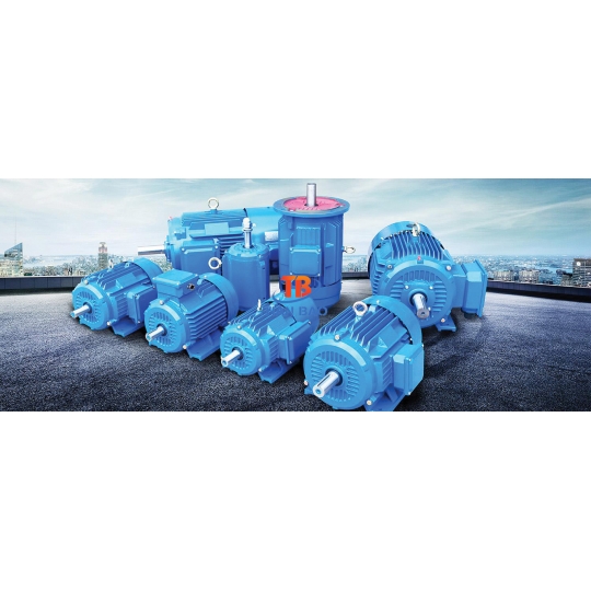 Motor điện